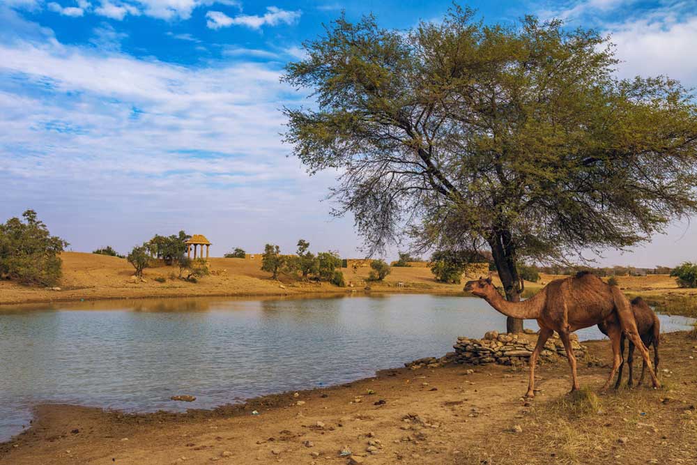 Jaisalmer Tour Package